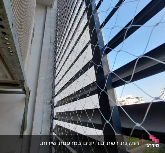 רשת מתוחה למניעת כניסת יונים במרפסת